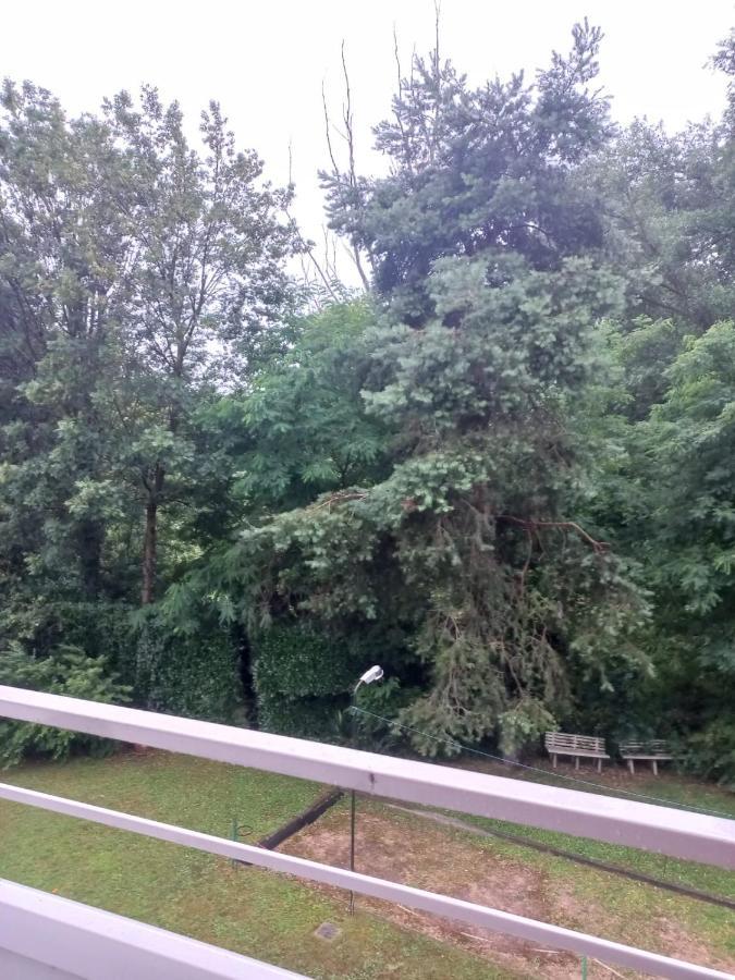 דורמלטו Lake Maggiore 2 Minutes Apartment מראה חיצוני תמונה