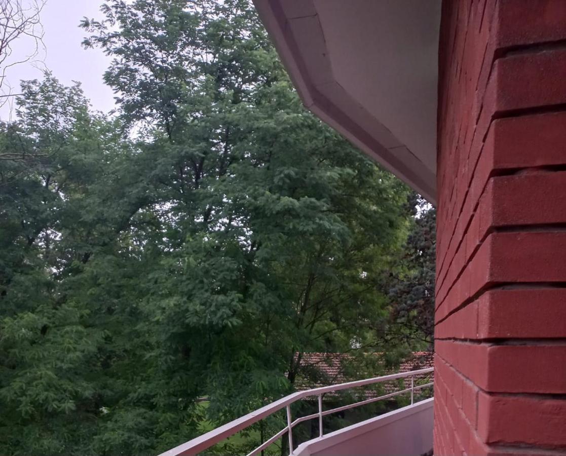 דורמלטו Lake Maggiore 2 Minutes Apartment מראה חיצוני תמונה